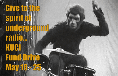 monkey drummer